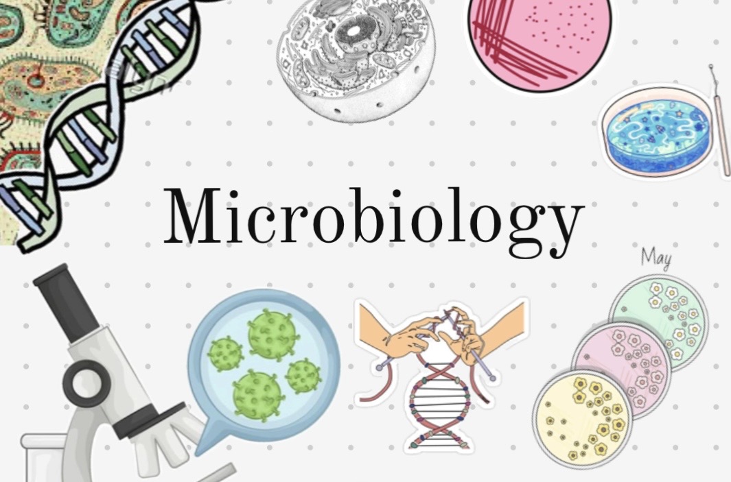 Introduction to Microbiology